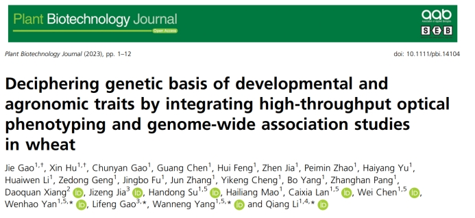 Plant Biotechnology Journal|高通量作物表型技術助力小麥生長和產(chǎn)量相關性狀遺傳解析